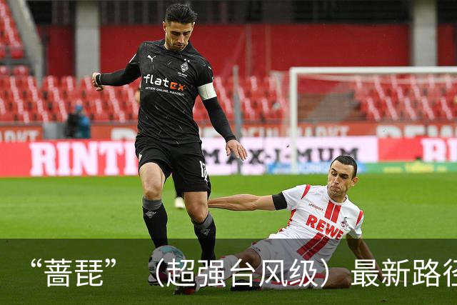 “蔷琵”（超强台风级）最新路径：24日夜间在浙江东部近海转向东北方向移动，并趋向日本西南部沿海；也不排除在台湾东北部沿海擦过可能性