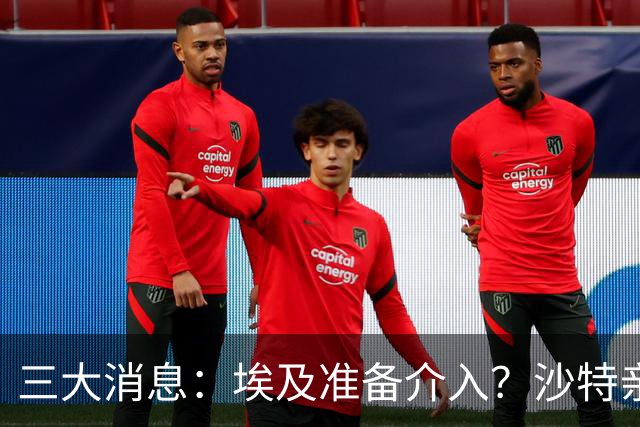 三大消息：埃及准备介入？沙特亲王求助中国，南部地区打响保卫战