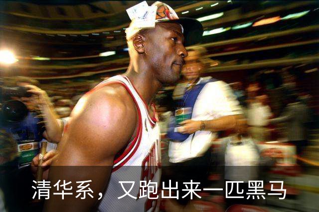 清华系，又跑出来一匹黑马