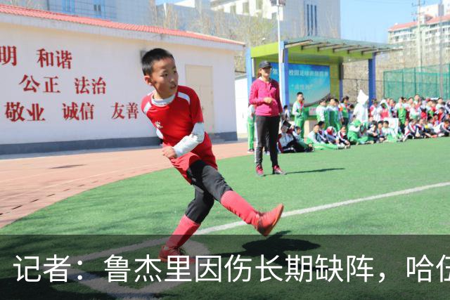 记者：鲁杰里因伤长期缺阵，哈伍德-贝利斯入选维拉欧冠名单