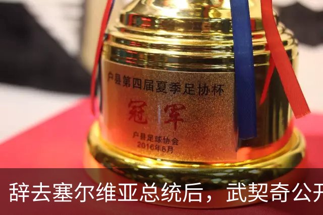 辞去塞尔维亚总统后，武契奇公开作出承诺：不会对俄罗斯实施制裁