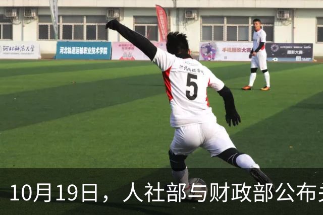 10月19日，人社部与财政部公布关于2026年调整养老金的文件了吗？
