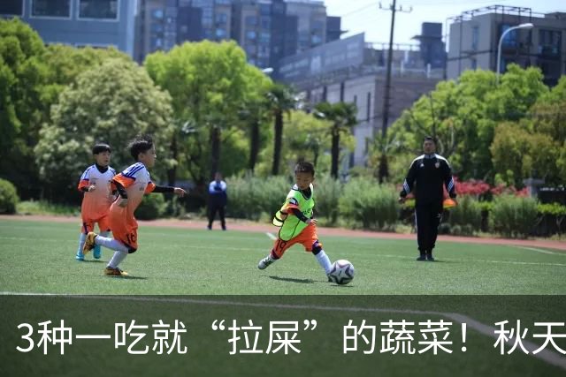 3种一吃就“拉屎”的蔬菜！秋天吃正当时，鲜嫩营养，润燥养人，便便顺畅了，肠道也舒服了！