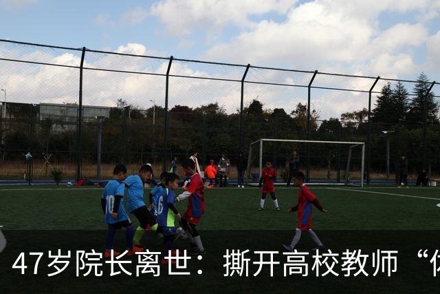 47岁院长离世：撕开高校教师“体面”背后的健康真相