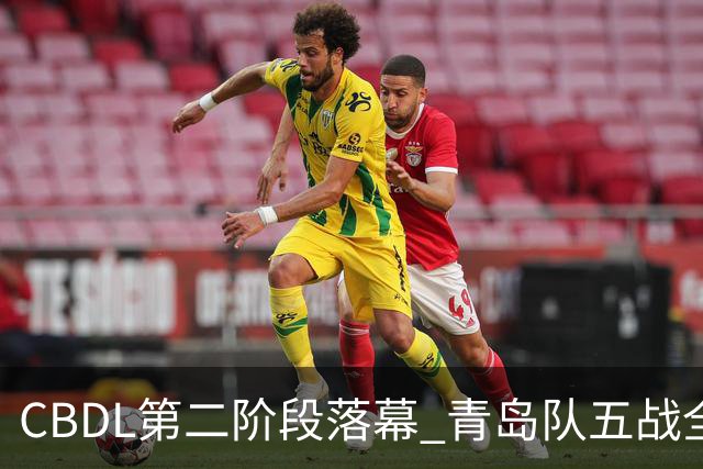 CBDL第二阶段落幕 青岛队五战全胜夺赛区头名